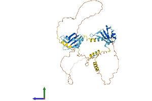 AlphaFold protein structure predicition of Human Recombinant RBM23 Protein, UniprotID Q86U06