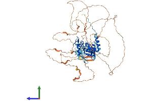 AlphaFold protein structure predicition of Mouse Recombinant Zbtb33 Protein, UniprotID Q8BN78
