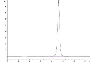 The purity of Mouse CD161 is greater than 95 % as determined by SEC-HPLC.