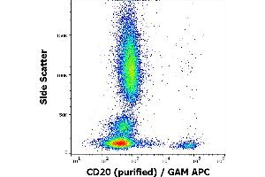 Flow cytometry surface staining pattern of human peripheral blood stained using anti-human CD20 (LT20) purified antibody (concentration in sample 10 μg/mL) GAM APC. (CD20 anticorps)