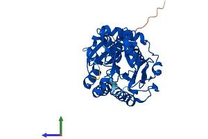 AlphaFold protein structure predicition of Human Recombinant TGDS Protein, UniprotID O95455