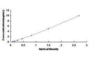 Nuclear Factor I/B (NFIB) ELISA Kit