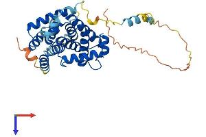 AlphaFold protein structure predicition of Human Recombinant CCNG2 Protein, UniprotID Q16589