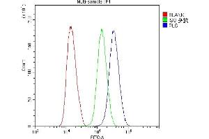 Flow Cytometry analysis of U251 cells using anti-Plasminogen antibody (ABIN6719276).