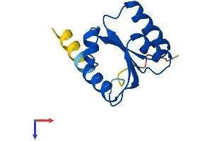 AlphaFold protein structure predicition of Mouse Recombinant Rpl30 Protein, UniprotID P62889