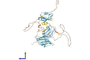 AlphaFold protein structure predicition of Mouse Recombinant Hnrnph2 Protein, UniprotID P70333