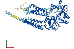 AlphaFold protein structure predicition of Human Recombinant GDPD2 Protein, UniprotID Q9HCC8