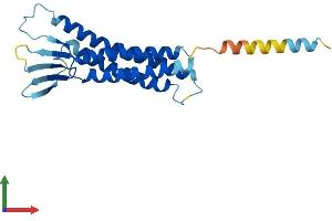 AlphaFold protein structure predicition of Human Recombinant CLDN22 Protein, UniprotID Q8N7P3