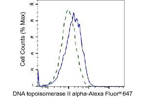 Validation of DNA topoisomerase II alpha knockdown using flow cytometry. (Recombinant Topoisomerase II alpha anticorps)