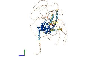 AlphaFold protein structure predicition of Human Recombinant HDAC4 Protein, UniprotID P56524