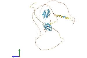 AlphaFold protein structure predicition of Mouse Recombinant Srsf4 Protein, UniprotID Q8VE97