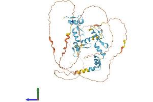 AlphaFold protein structure predicition of Human Recombinant PLAGL1 Protein, UniprotID Q9UM63