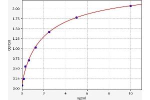Typical standard curve (TNMD Kit ELISA)