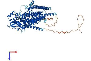 AlphaFold protein structure predicition of Human Recombinant LMF2 Protein, UniprotID Q9BU23