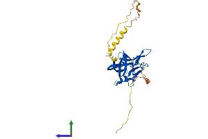 AlphaFold protein structure predicition of Human Recombinant FGF14 Protein, UniprotID Q92915