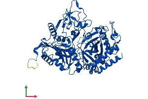 AlphaFold protein structure predicition of Mouse Recombinant Pck1 Protein, UniprotID Q9Z2V4