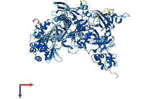 AlphaFold protein structure predicition of Human Recombinant POLR3B Protein, UniprotID Q9NW08