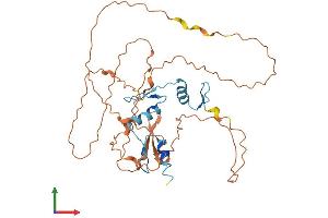AlphaFold protein structure predicition of Mouse Recombinant Klf8 Protein, UniprotID Q8BLM0