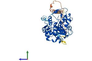 AlphaFold protein structure predicition of Human Recombinant ST6GALNAC2 Protein, UniprotID Q9UJ37