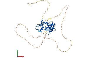 AlphaFold protein structure predicition of Mouse Recombinant Rnf146 Protein, UniprotID Q9CZW6