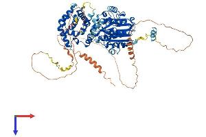 AlphaFold protein structure predicition of Mouse Recombinant Nsun7 Protein, UniprotID Q14AW5
