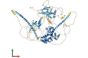 AlphaFold protein structure predicition of Human Recombinant TBC1D4 Protein, UniprotID O60343
