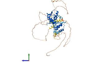AlphaFold protein structure predicition of Human Recombinant NACC1 Protein, UniprotID Q96RE7
