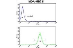 Flow Cytometry (FACS) image for anti-Superkiller Viralicidic Activity 2-Like 2 (SKIV2L2) antibody (ABIN3003891) (MTR4 anticorps)