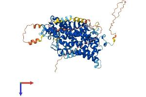 AlphaFold protein structure predicition of Human Recombinant SLC6A9 Protein, UniprotID P48067