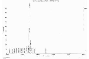 Image no. 1 for Procollagen I N-Terminal Propeptide (PINP) (N-Term) protein (Ovalbumin) (ABIN1880266) (PINP Protein (N-Term) (Ovalbumin))