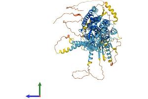 AlphaFold protein structure predicition of Human Recombinant ANO2 Protein, UniprotID Q9NQ90