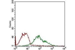 Flow cytometric analysis of MCF-7 cells using DDIT3 mouse mAb (green) and negative control (red). (DDIT3 anticorps  (AA 87-192))