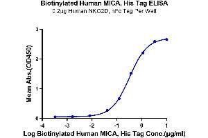 Immobilized Human NKG2D, hFc Tag at 2 μg/mL (100 μL/well) on the plate.
