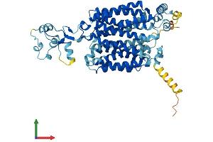 AlphaFold protein structure predicition of Mouse Recombinant Slc22a1 Protein, UniprotID O08966