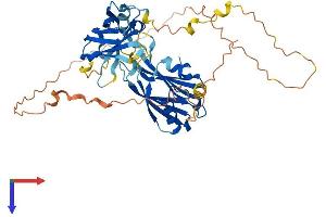 AlphaFold protein structure predicition of Human Recombinant SYT17 Protein, UniprotID Q9BSW7