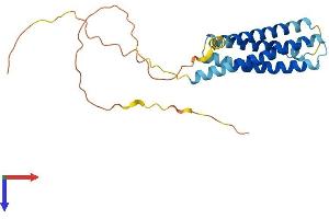 AlphaFold protein structure predicition of Human Recombinant MS4A15 Protein, UniprotID Q8N5U1