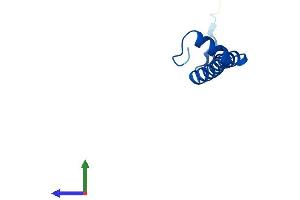 AlphaFold protein structure predicition of Human Recombinant COX6C Protein, UniprotID P09669