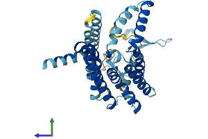 AlphaFold protein structure predicition of Mouse Recombinant Pex16 Protein, UniprotID Q91XC9