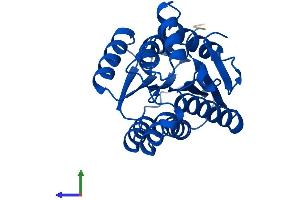 AlphaFold protein structure predicition of Mouse Recombinant Spr Protein, UniprotID Q64105