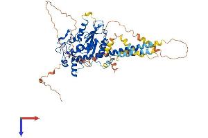 AlphaFold protein structure predicition of Human Recombinant HS6ST2 Protein, UniprotID Q96MM7