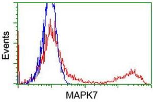 HEK293T cells transfected with either RC203506 overexpress plasmid (Red) or empty vector control plasmid (Blue) were immunostained by anti-MAPK7 antibody (ABIN2454021), and then analyzed by flow cytometry. (MAPK7 anticorps)