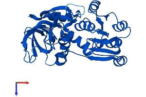 AlphaFold protein structure predicition of Human Recombinant TP53I3 Protein, UniprotID Q53FA7