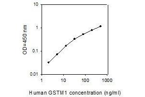 ELISA image for Glutathione S-Transferase mu 1 (GSTM1) ELISA Kit (ABIN4883146)