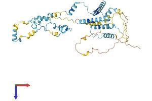 AlphaFold protein structure predicition of Human Recombinant ZC3H15 Protein, UniprotID Q8WU90
