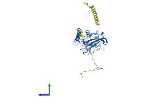 AlphaFold protein structure predicition of Mouse Recombinant Glipr1l2 Protein, UniprotID Q9CQ35