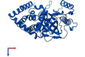 AlphaFold protein structure predicition of Mouse Recombinant Agpat5 Protein, UniprotID Q9D1E8