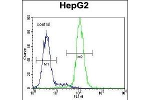 CST9 Antibody (C-term) (ABIN655011 and ABIN2844645) flow cytometric analysis of HepG2 cells (right histogram) compared to a negative control cell (left histogram).