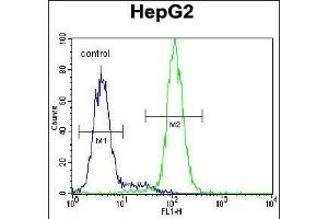CST9 Antibody (C-term) (ABIN655011 and ABIN2844645) flow cytometric analysis of HepG2 cells (right histogram) compared to a negative control cell (left histogram). (CST9 anticorps  (C-Term))