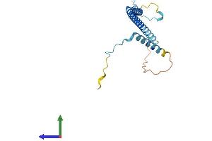 AlphaFold protein structure predicition of Human Recombinant PDAP1 Protein, UniprotID Q13442