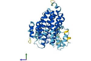 AlphaFold protein structure predicition of Human Recombinant ATP6V0D1 Protein, UniprotID P61421